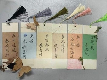 图片2.jpg 图片2.jpg