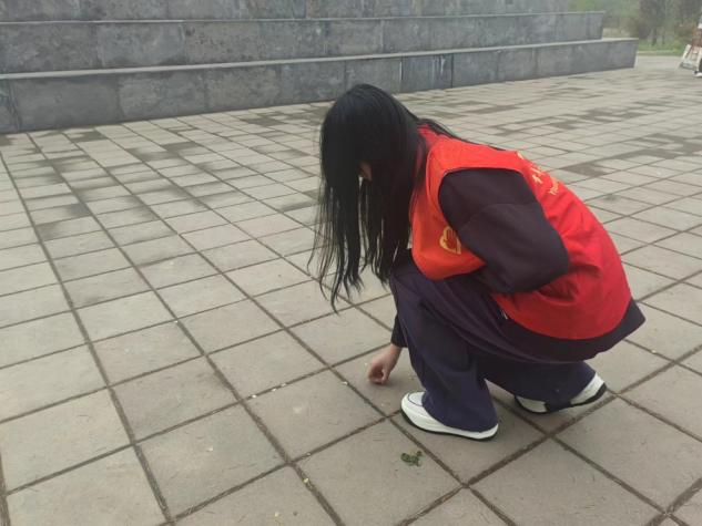 图片5.png 图片5.png